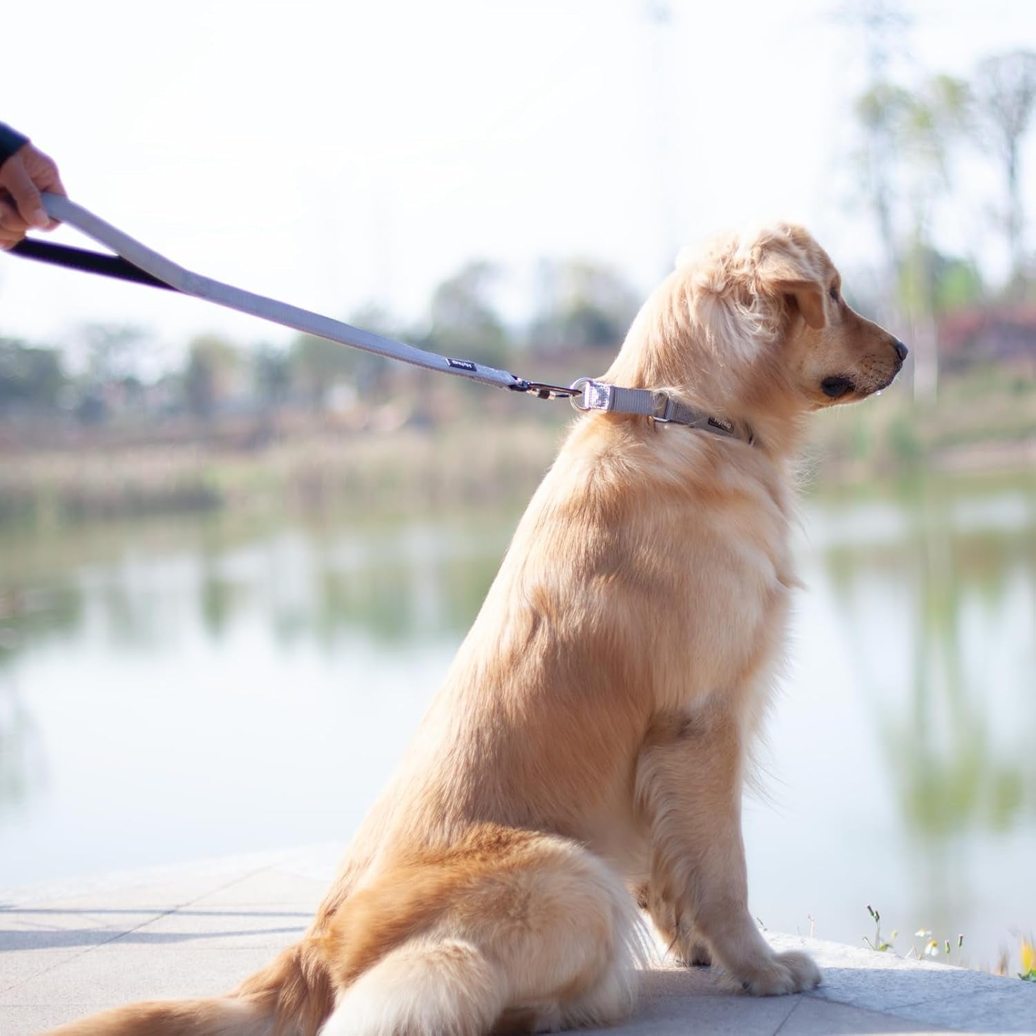 Pets 24 Inches Heavy Duty Short Leash with Comfortable Handle and Lightweight Aviation Aluminium Clip Lead- for Large Medium Dogs Daily Walking and Training. (Sleet Gray)