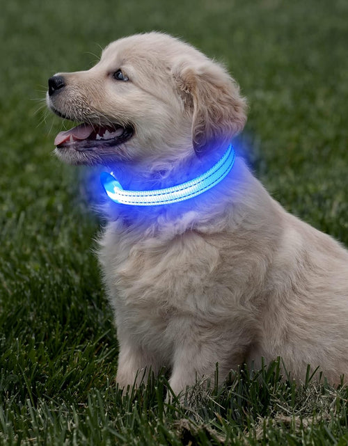 Load image into Gallery viewer, Puppy LED Dog Collars - USB Rechargeable Light up Dog Collar Adjustable Reflective Pet Collars Keep Your Small Dogs and Cats Be Seen &amp; Safe in the Dark (XS, Royal Blue)
