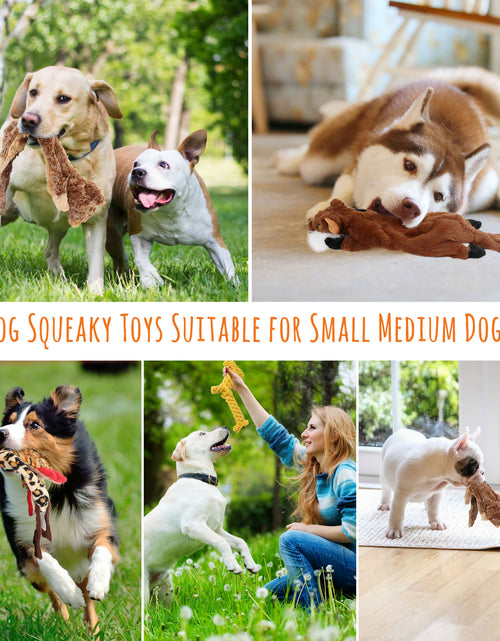 Load image into Gallery viewer, 5Pcs Dog Squeaky Toys for Small Medium Dog, No Stuffing
