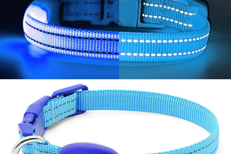 Puppy LED Dog Collars - USB Rechargeable Light up Dog Collar Adjustable Reflective Pet Collars Keep Your Small Dogs and Cats Be Seen & Safe in the Dark (XS, Royal Blue)