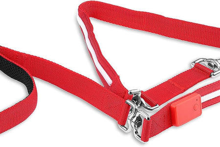 ' Safety LED Dog Leash - USB Rechargeable Flashing Light, 6 Ft, Water Resistant – Avoid Danger – Red
