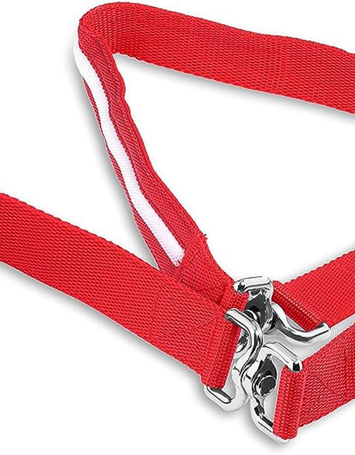 Load image into Gallery viewer, ' Safety LED Dog Leash - USB Rechargeable Flashing Light, 6 Ft, Water Resistant – Avoid Danger – Red
